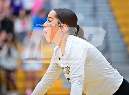Thumbnail 1 in Bear Creek @ Arvada West photogallery.