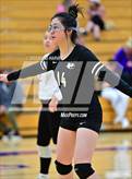 Photo from the gallery "Bear Creek @ Arvada West"