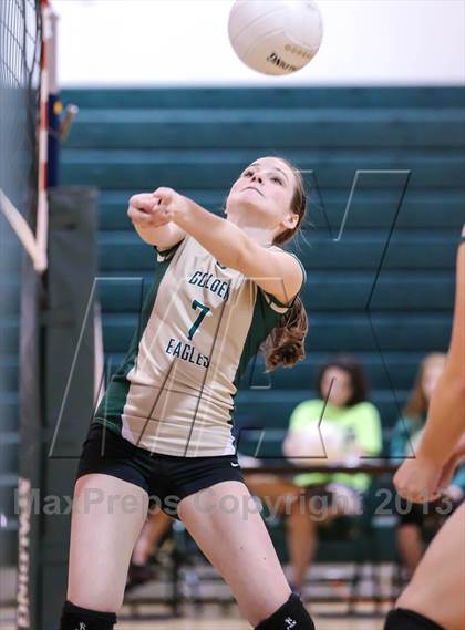 Thumbnail 1 in Menendez @ Fleming Island photogallery.