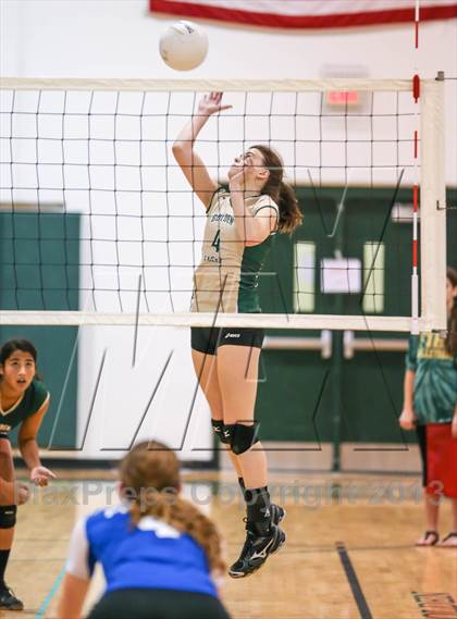 Thumbnail 1 in Menendez @ Fleming Island photogallery.
