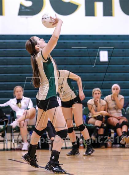 Thumbnail 1 in Menendez @ Fleming Island photogallery.