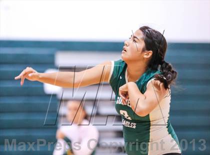Thumbnail 2 in Menendez @ Fleming Island photogallery.