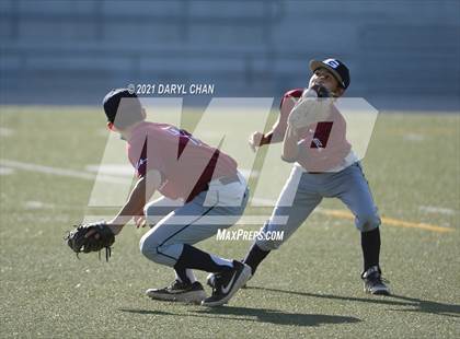 Thumbnail 2 in Garfield @ Torres photogallery.