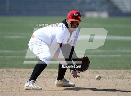 Thumbnail 1 in Garfield @ Torres photogallery.