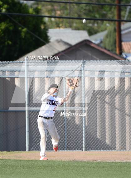 Thumbnail 2 in Garfield @ Torres photogallery.