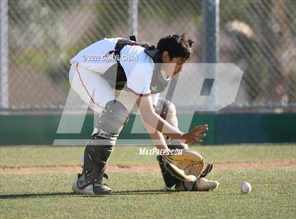 Thumbnail 1 in Garfield @ Torres photogallery.