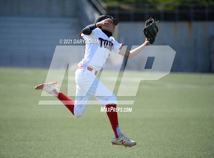 Thumbnail 1 in Garfield @ Torres photogallery.