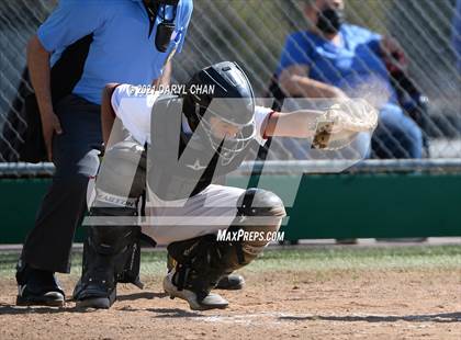 Thumbnail 1 in Garfield @ Torres photogallery.