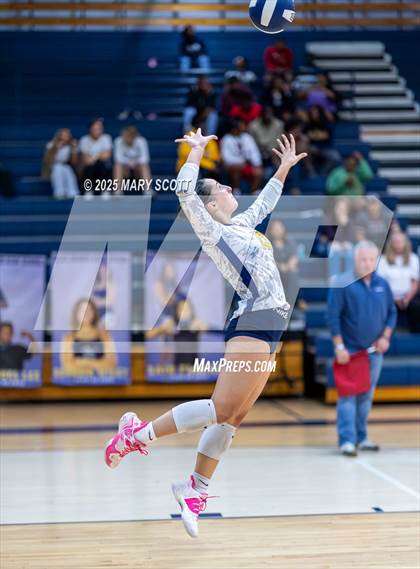 Thumbnail 2 in South Panola @ Olive Branch photogallery.