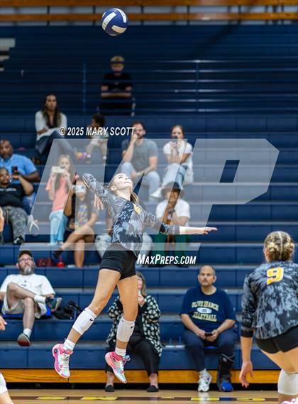 Thumbnail 1 in South Panola @ Olive Branch photogallery.