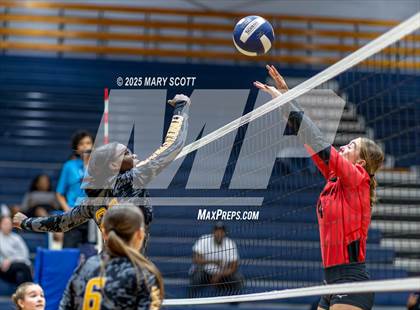 Thumbnail 1 in South Panola @ Olive Branch photogallery.
