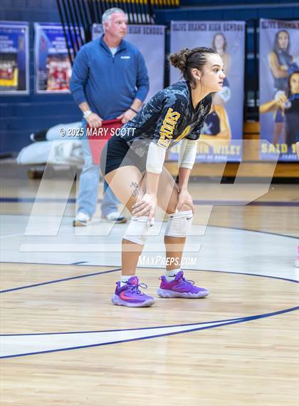 Thumbnail 1 in South Panola @ Olive Branch photogallery.