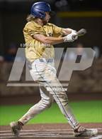 Photo from the gallery "New Diana @ Marshall"