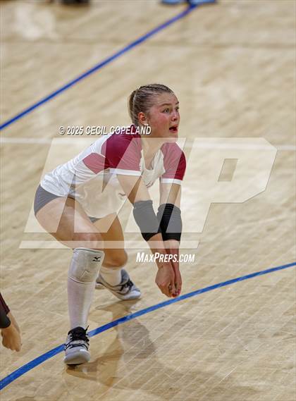 Thumbnail 1 in Alpharetta vs. Walton (GHSA AAAAAA State Volleyball Final) photogallery.