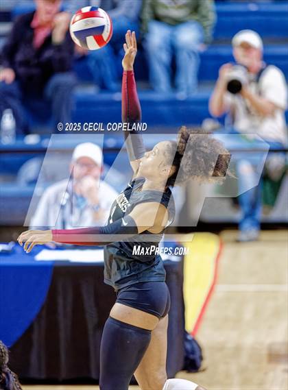 Thumbnail 1 in Alpharetta vs. Walton (GHSA AAAAAA State Volleyball Final) photogallery.