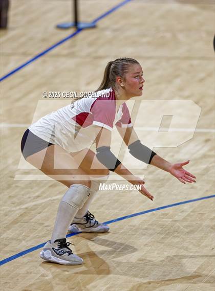 Thumbnail 3 in Alpharetta vs. Walton (GHSA AAAAAA State Volleyball Final) photogallery.