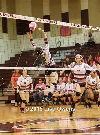 Thumbnail 3 in Princeton vs Bonham photogallery.