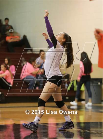 Thumbnail 1 in Princeton vs Bonham photogallery.