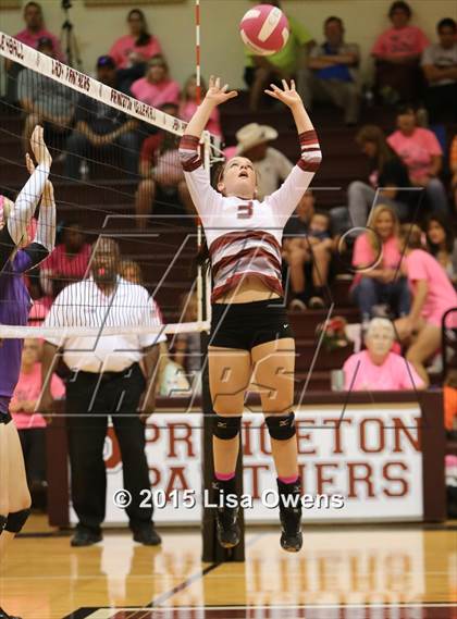Thumbnail 1 in Princeton vs Bonham photogallery.