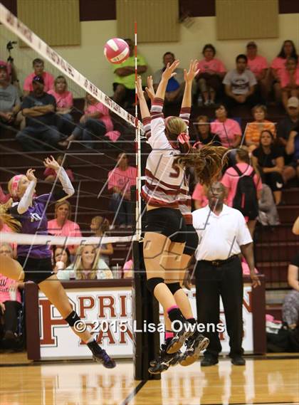 Thumbnail 1 in Princeton vs Bonham photogallery.