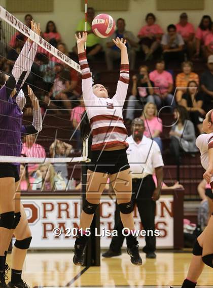 Thumbnail 2 in Princeton vs Bonham photogallery.