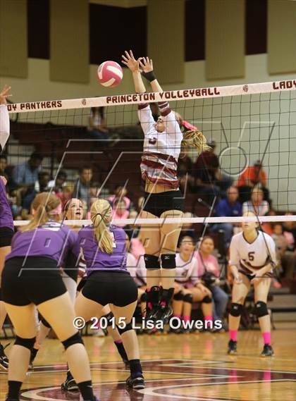 Thumbnail 3 in Princeton vs Bonham photogallery.