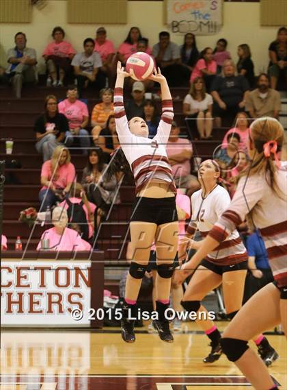 Thumbnail 3 in Princeton vs Bonham photogallery.