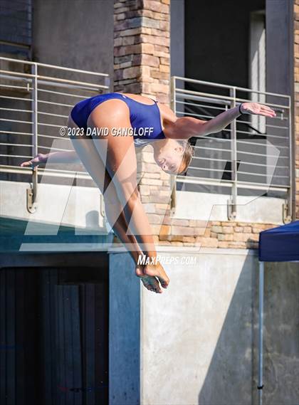 Thumbnail 2 in Mission Viejo Invitational (Diving) photogallery.