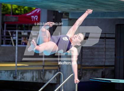 Thumbnail 2 in Mission Viejo Invitational (Diving) photogallery.