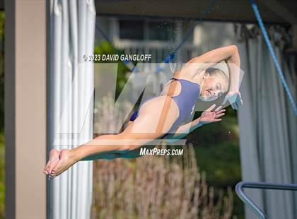 Thumbnail 1 in Mission Viejo Invitational (Diving) photogallery.