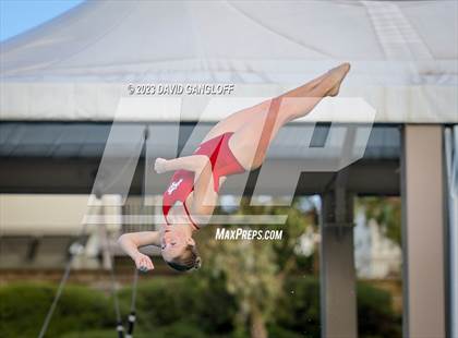 Thumbnail 2 in Mission Viejo Invitational (Diving) photogallery.