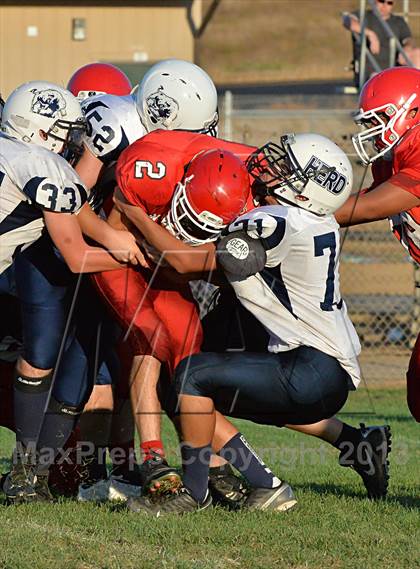 Thumbnail 1 in Amador @ Galt photogallery.