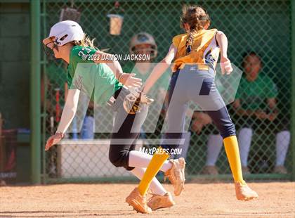 Thumbnail 2 in Boulder City vs Virgin Valley (NIAA 3A Softball Southern Final) photogallery.
