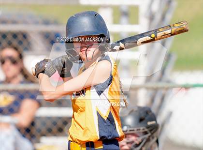 Thumbnail 1 in Boulder City vs Virgin Valley (NIAA 3A Softball Southern Final) photogallery.