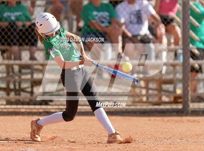 Thumbnail 1 in Boulder City vs Virgin Valley (NIAA 3A Softball Southern Final) photogallery.