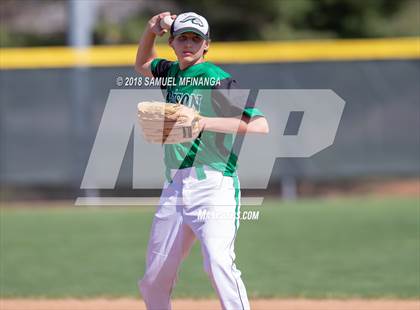 Thumbnail 3 in Norfolk vs. Benson photogallery.