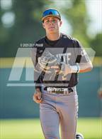 Photo from the gallery "Servite @ Arlington"