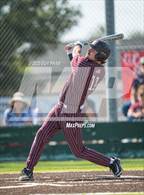 Photo from the gallery "Servite @ Arlington"