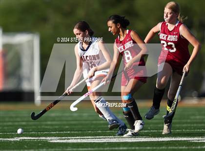 Thumbnail 1 in Rock Ridge @ Briar Woods photogallery.