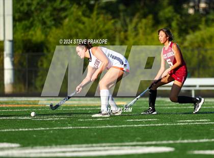 Thumbnail 1 in Rock Ridge @ Briar Woods photogallery.