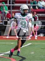 Photo from the gallery "Elmont Memorial @ Garden City"