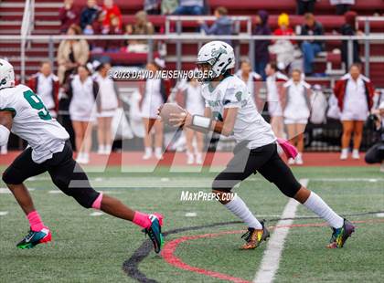 Thumbnail 3 in Elmont Memorial @ Garden City photogallery.