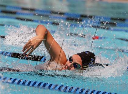Thumbnail 3 in CIF NCS Girls Swimming Championships photogallery.