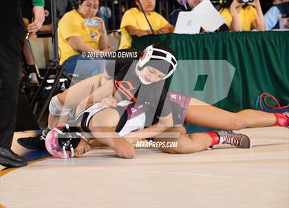 Thumbnail 1 in CIF State Girls Wrestling Championships (Finals) photogallery.