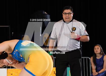 Thumbnail 1 in CIF State Girls Wrestling Championships (Finals) photogallery.