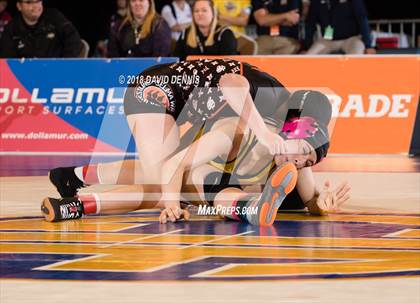 Thumbnail 3 in CIF State Girls Wrestling Championships (Finals) photogallery.