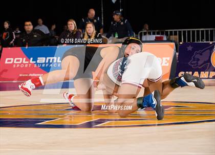 Thumbnail 1 in CIF State Girls Wrestling Championships (Finals) photogallery.