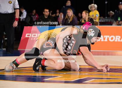 Thumbnail 2 in CIF State Girls Wrestling Championships (Finals) photogallery.