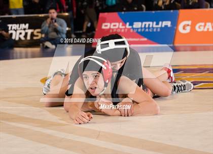 Thumbnail 2 in CIF State Girls Wrestling Championships (Finals) photogallery.