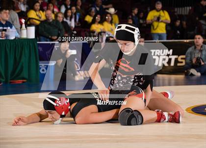 Thumbnail 1 in CIF State Girls Wrestling Championships (Finals) photogallery.